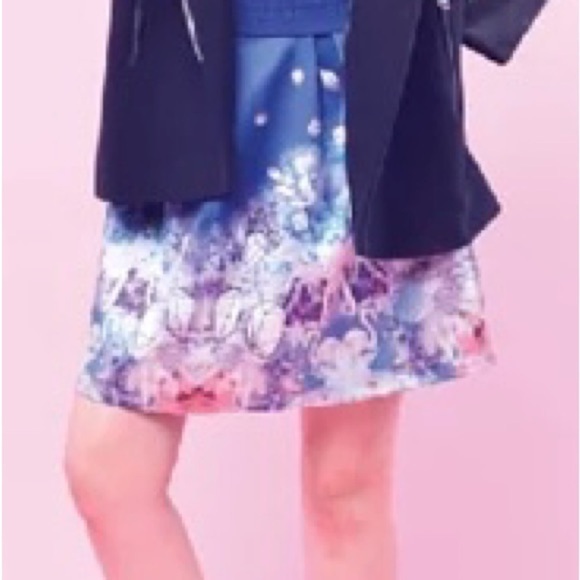 Bread n Butter size P XS Blue Diamond Swan Full Skirt - Picture 2 of 14